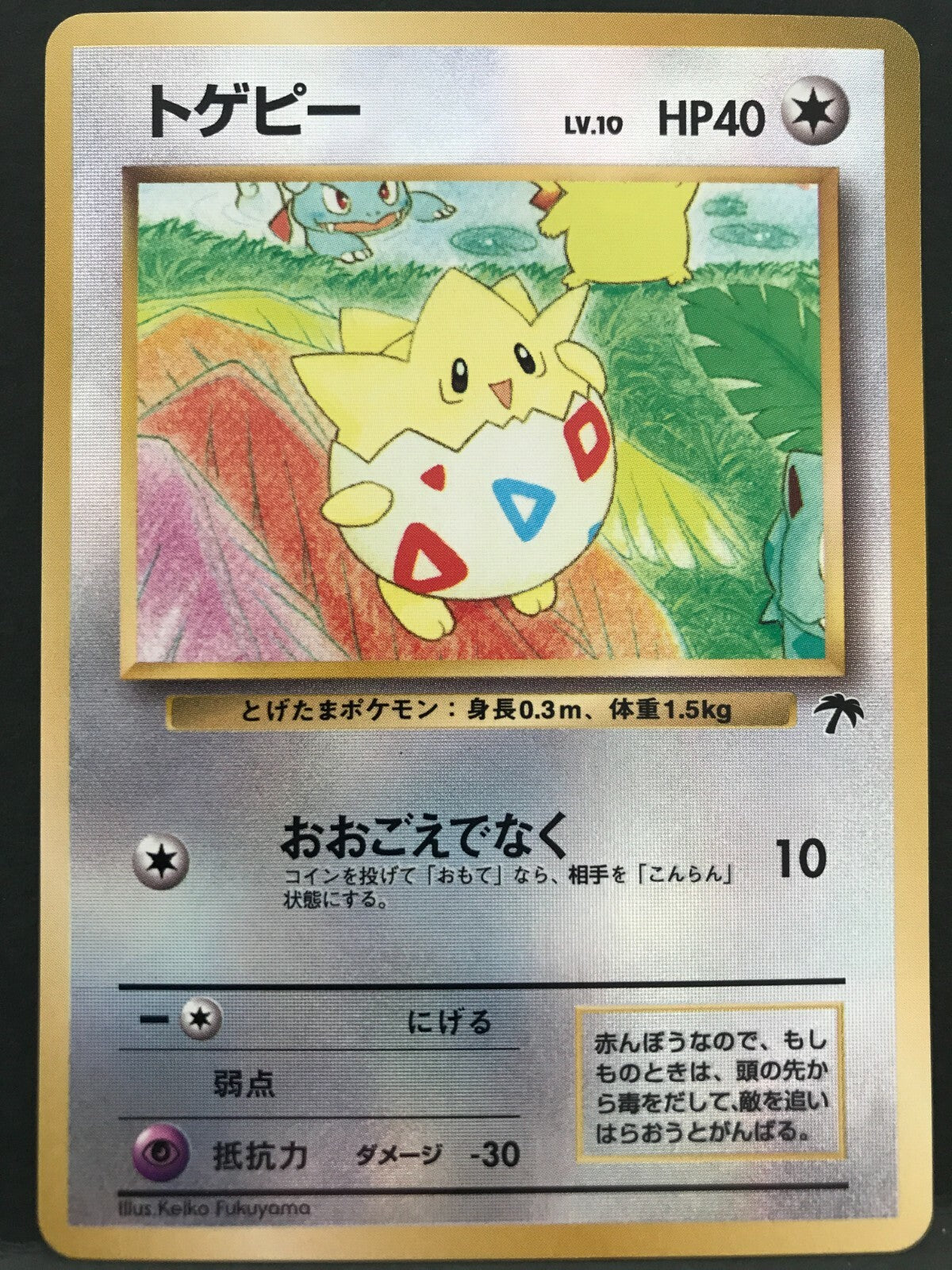 Togepi (Southern Island) JAPANESE [Lightly Played Holofoil] | Game Haven TX