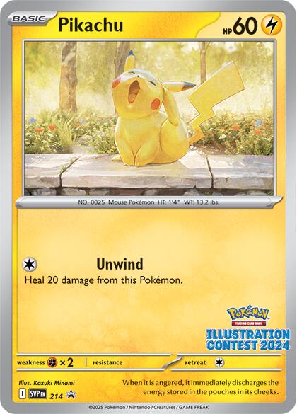Pikachu (214) [Scarlet & Violet: Black Star Promos] | Game Haven TX