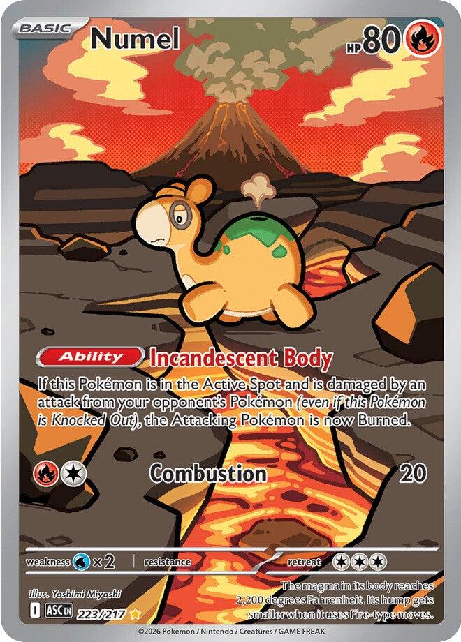Numel (223/217) [Mega Evolution: Ascended Heroes] | Game Haven TX