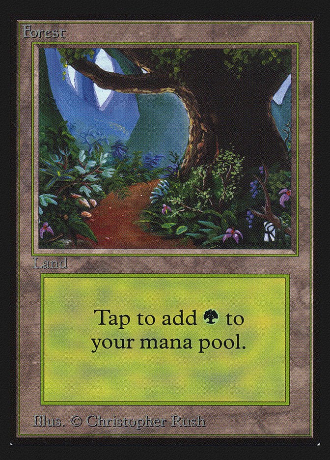 Forest (Path)(IE) [Intl. Collectors’ Edition] | Game Haven TX