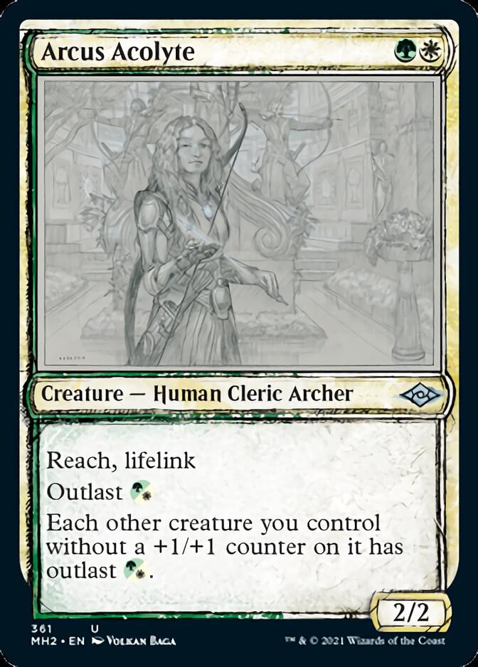 Arcus Acolyte (Sketch) [Modern Horizons 2] | Game Haven TX