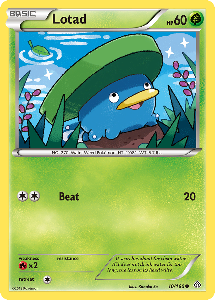 Lotad (10/160) [XY: Primal Clash] | Game Haven TX
