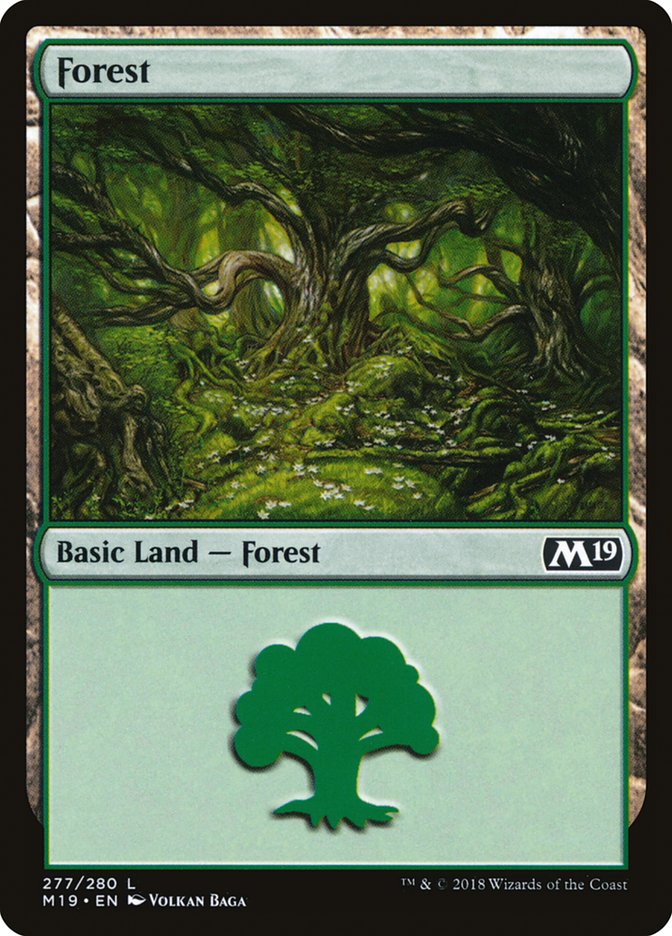 Forest [Core Set 2019] | Game Haven TX