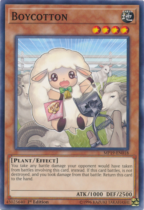 Boycotton [MP19-EN018] Common | Game Haven TX