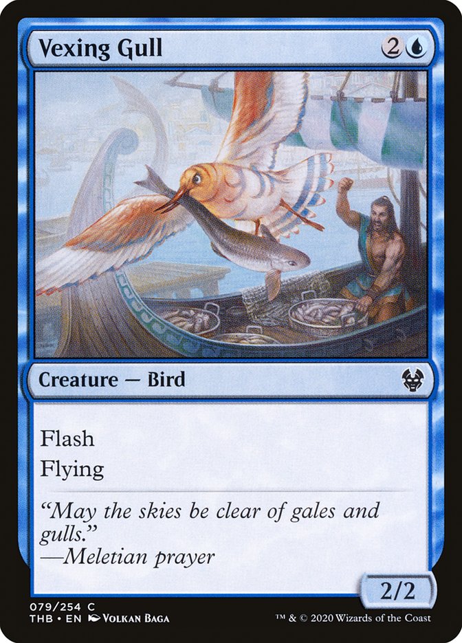 Vexing Gull [Theros Beyond Death] | Game Haven TX