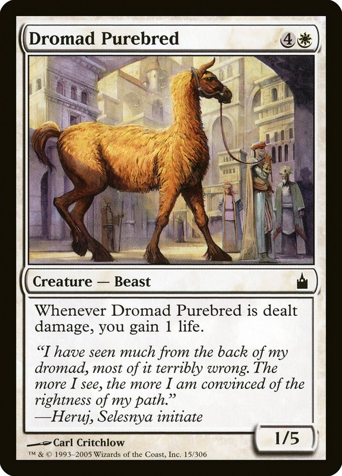 Dromad Purebred [Ravnica: City of Guilds] | Game Haven TX