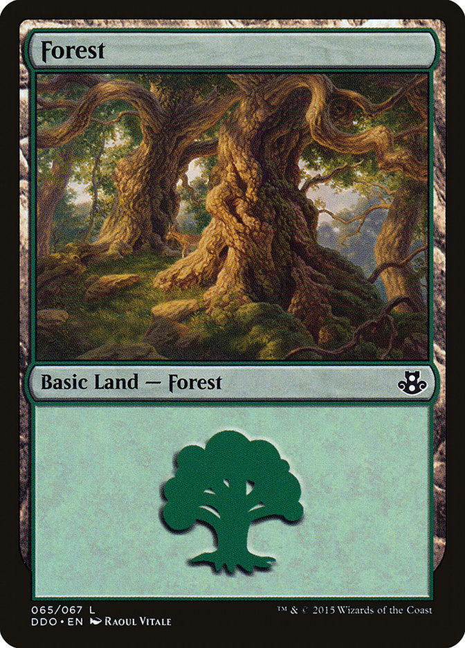 Forest [Duel Decks: Elspeth vs. Kiora] | Game Haven TX