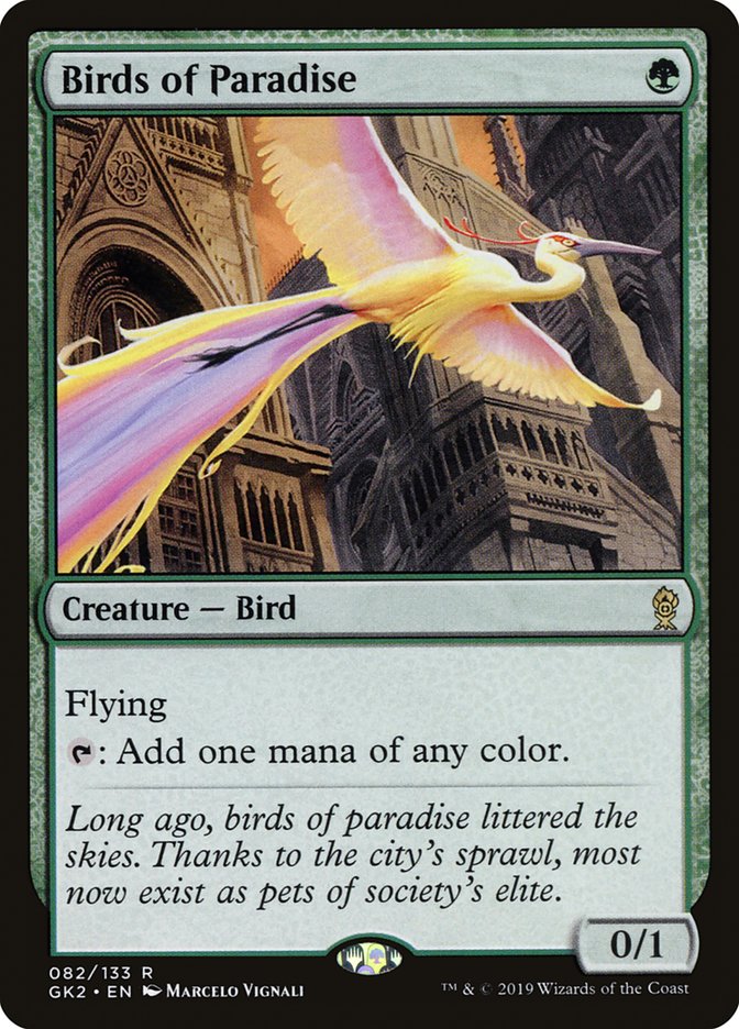 Birds of Paradise [RNA Guild Kit] | Game Haven TX