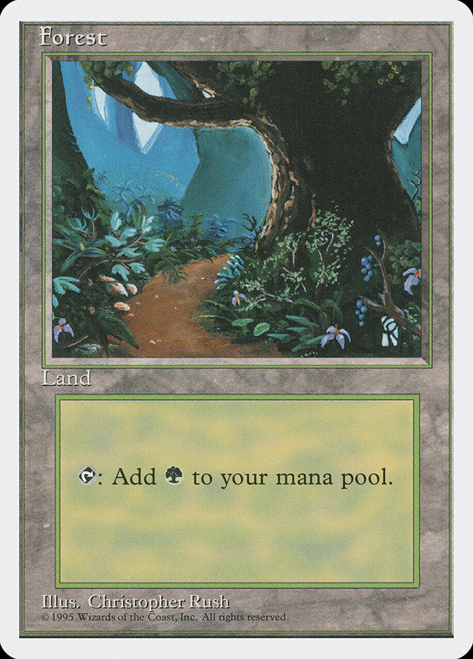 Forest [Fourth Edition] | Game Haven TX