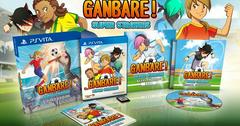Ganbare! Super Strikers [Limited Edition] - Playstation Vita | Game Haven TX