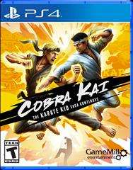Cobra Kai: The Karate Kid Saga Continues - Playstation 4 | Game Haven TX