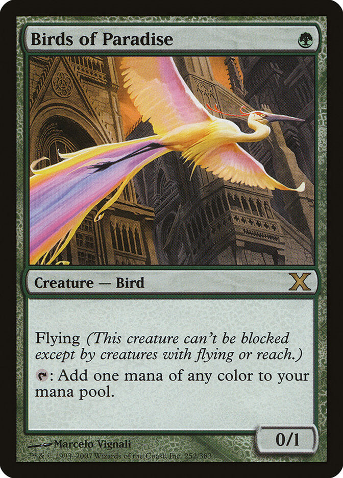 Birds of Paradise [Tenth Edition] | Game Haven TX