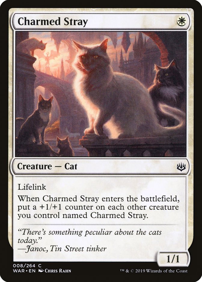 Charmed Stray [War of the Spark] | Game Haven TX