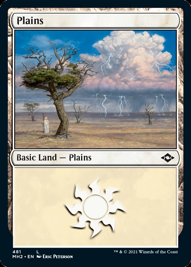 Plains (#481) [Modern Horizons 2] | Game Haven TX
