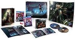Stranger of Sword City [Limited Edition] - Playstation Vita | Game Haven TX