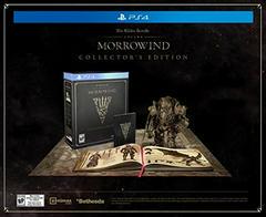 Elder Scrolls Online: Morrowind [Collector's Edition] - Playstation 4 | Game Haven TX