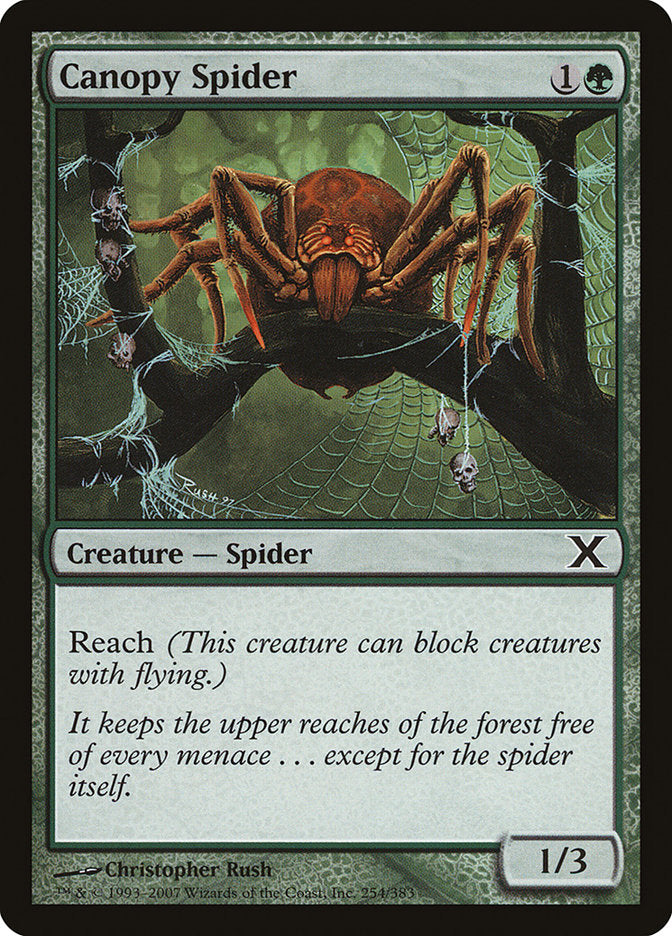Canopy Spider [Tenth Edition] | Game Haven TX