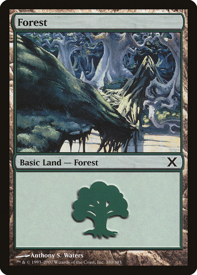 Forest [Tenth Edition] | Game Haven TX