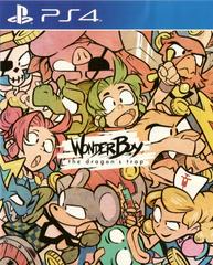 Wonder Boy - Playstation 4 | Game Haven TX