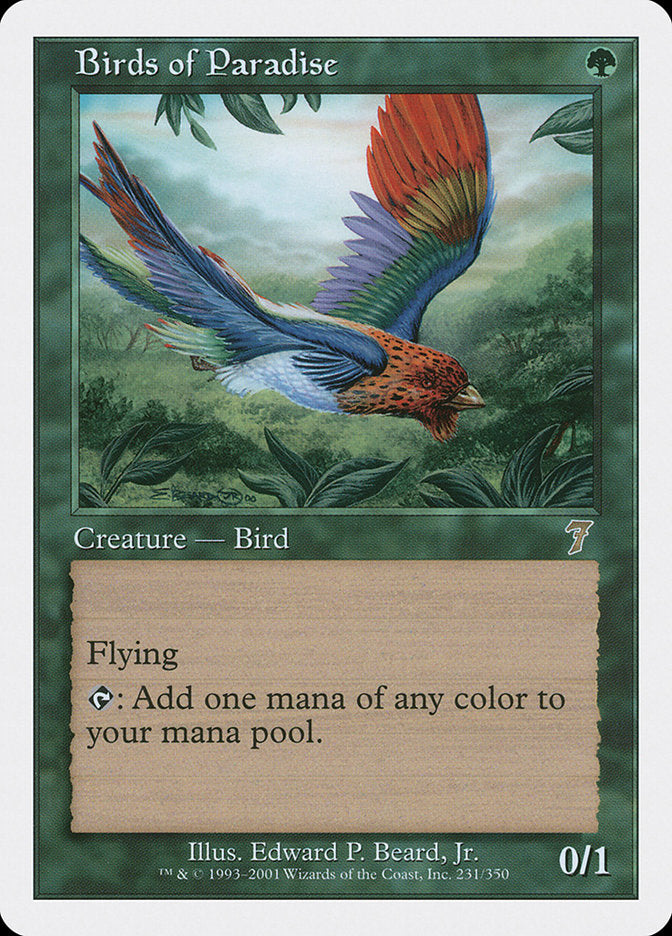 Birds of Paradise [Seventh Edition] | Game Haven TX
