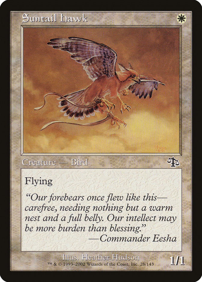 Suntail Hawk [Judgment] | Game Haven TX