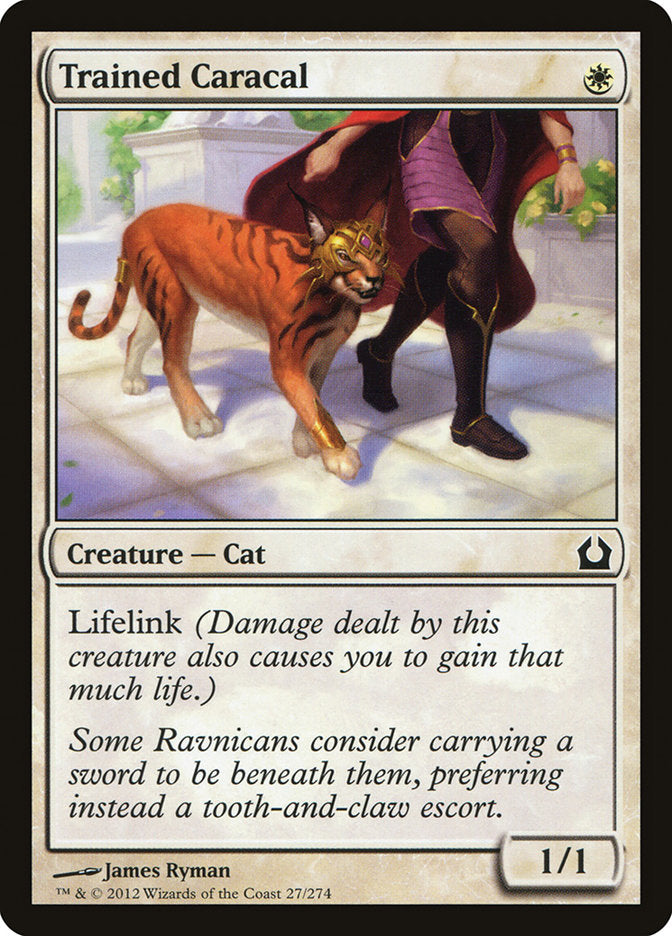 Trained Caracal [Return to Ravnica] | Game Haven TX