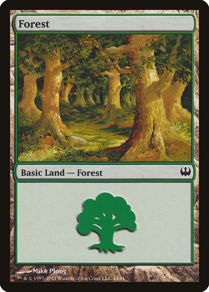 Forest [Duel Decks: Knights vs. Dragons] | Game Haven TX