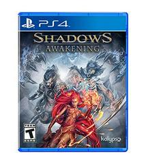 Shadows Awakening - Playstation 4 | Game Haven TX