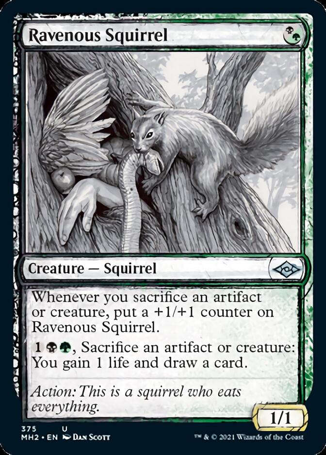 Ravenous Squirrel (Sketch) [Modern Horizons 2] | Game Haven TX