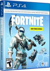 Fortnite: Deep Freeze - Playstation 4 | Game Haven TX