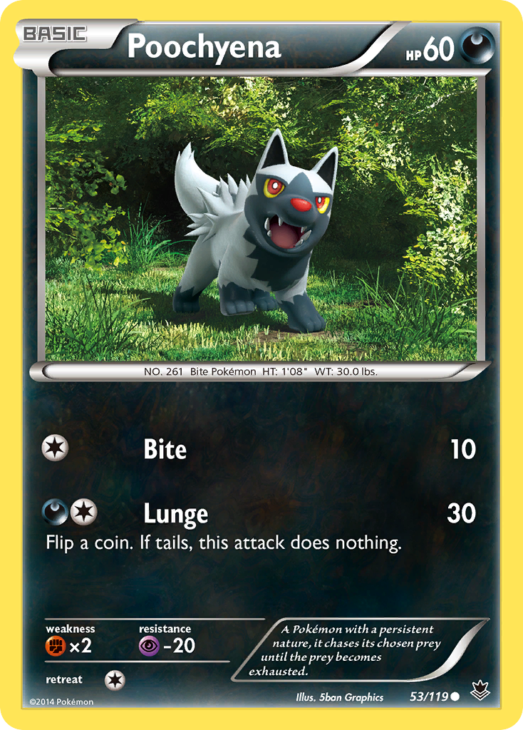 Poochyena (53/119) [XY: Phantom Forces] | Game Haven TX