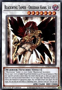 Blackwing Tamer - Obsidian Hawk Joe [LDS2-EN042] Common | Game Haven TX