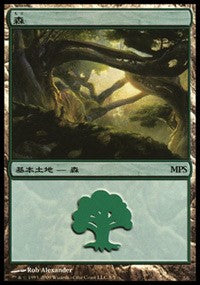 Forest - Zendikar Cycle [Magic Premiere Shop] | Game Haven TX