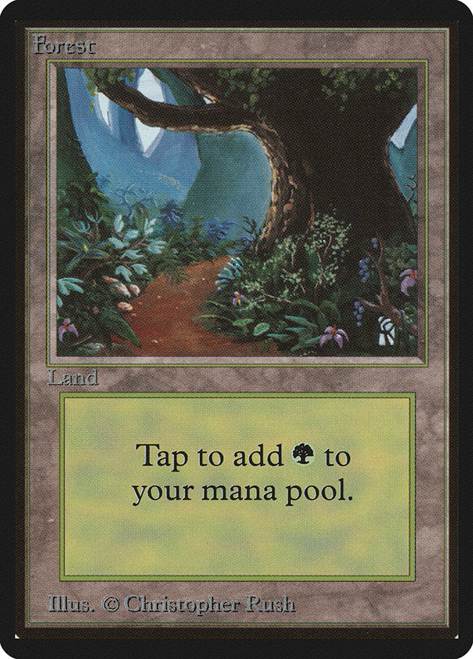 Forest [Limited Edition Beta] | Game Haven TX
