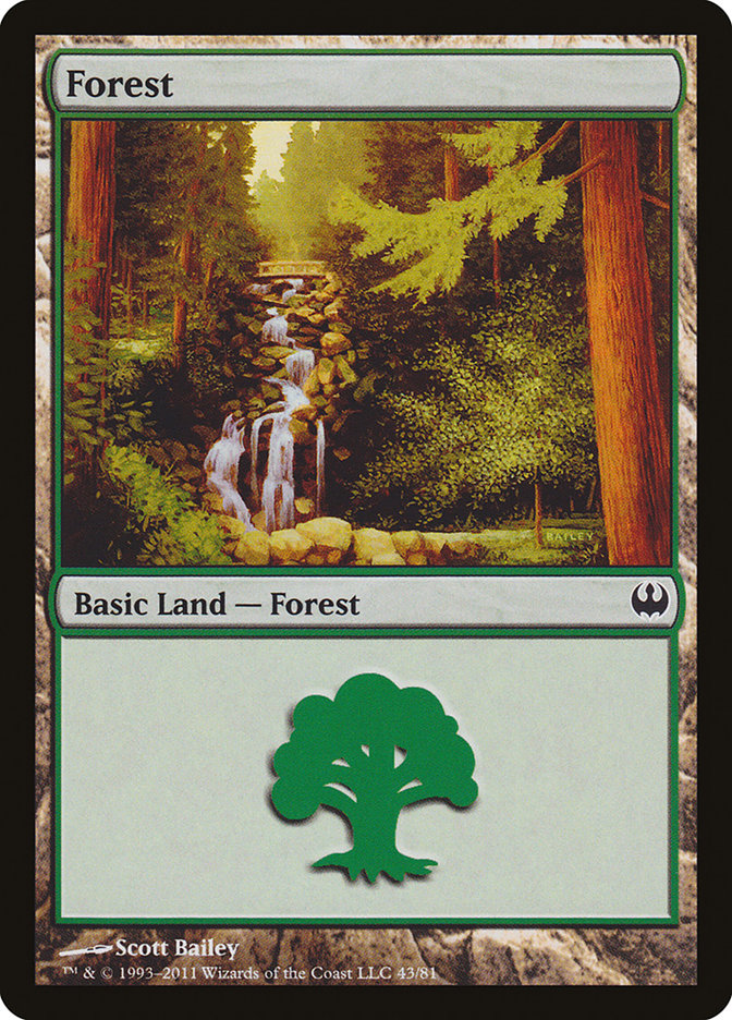 Forest [Duel Decks: Knights vs. Dragons] | Game Haven TX