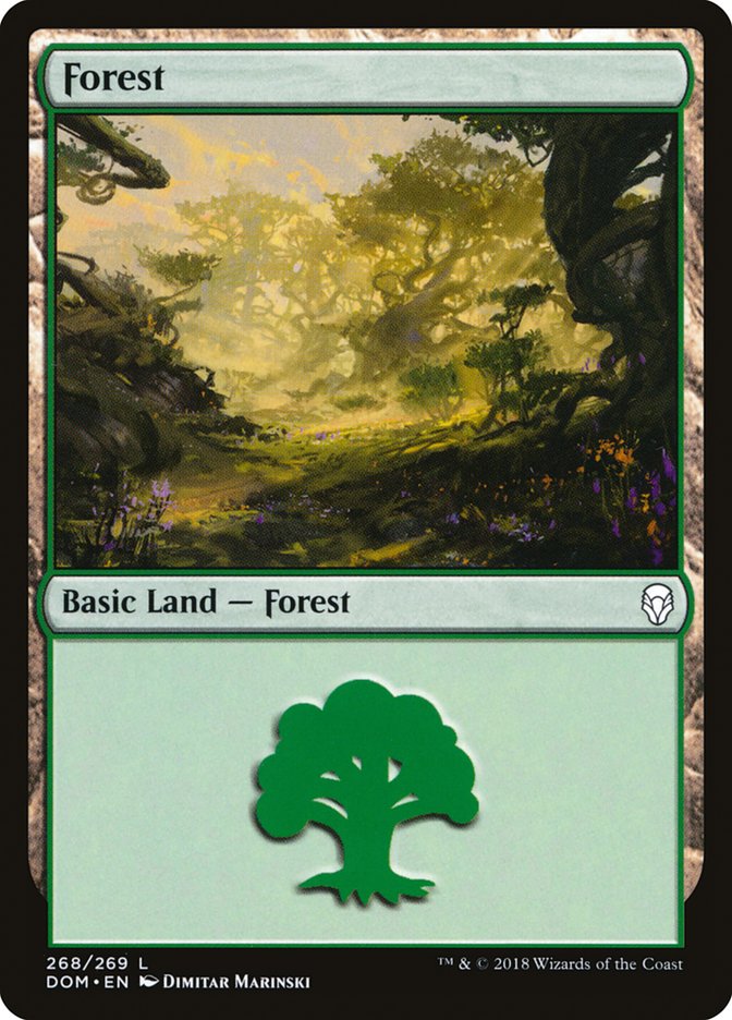 Forest [Dominaria] | Game Haven TX