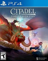 Citadel: Forged with Fire - Playstation 4 | Game Haven TX