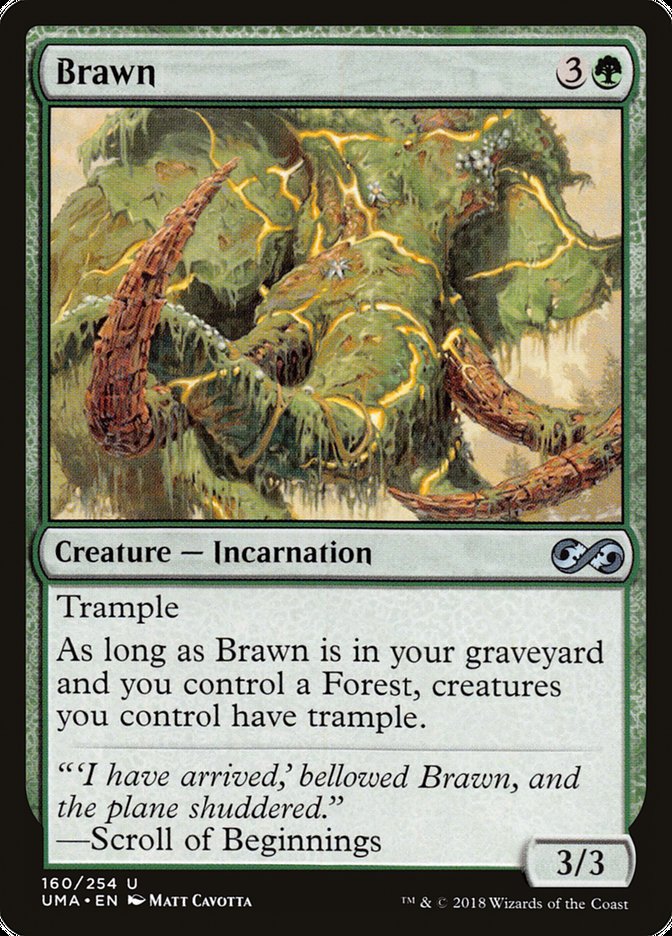 Brawn [Ultimate Masters] | Game Haven TX