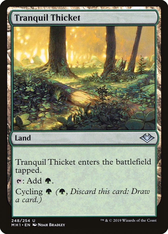 Tranquil Thicket [Modern Horizons] | Game Haven TX