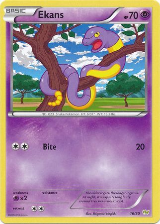 Ekans (16/30) [XY: Trainer Kit - Noivern] | Game Haven TX