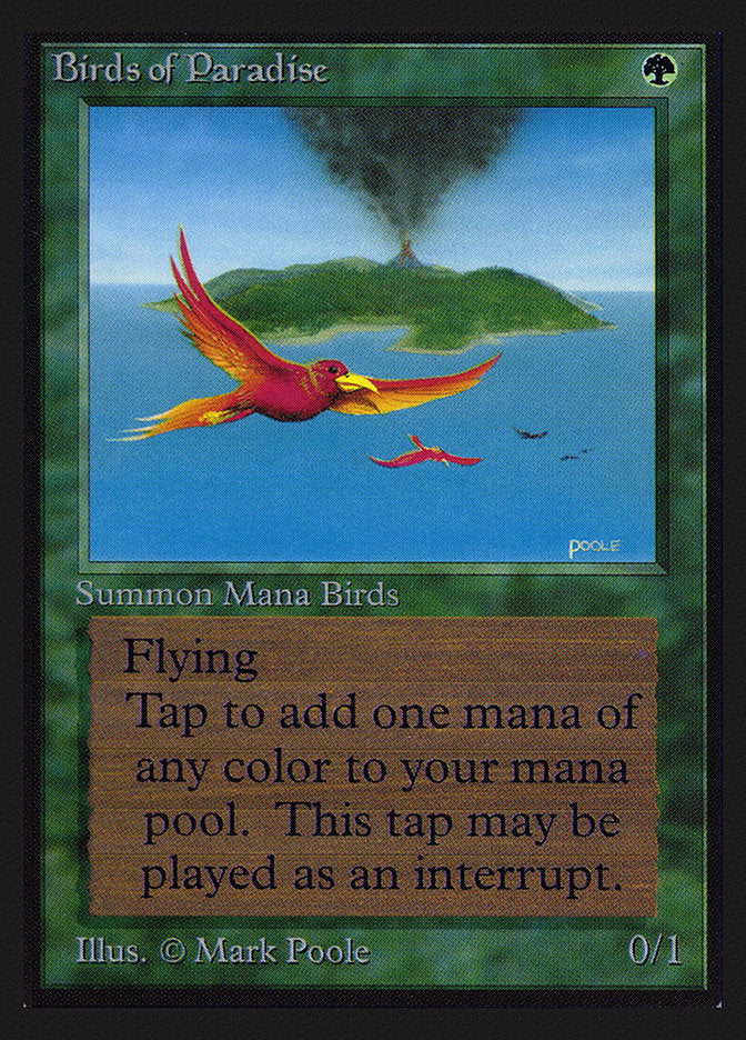 Birds of Paradise (IE) [Intl. Collectors’ Edition] | Game Haven TX