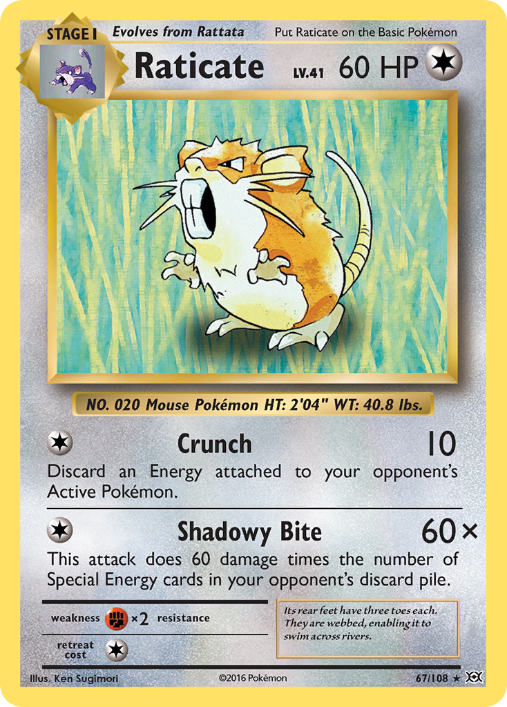 Raticate (67/108) [XY: Evolutions] | Game Haven TX