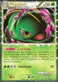 Meganium (HGSS08) [HeartGold & SoulSilver: Black Star Promos] | Game Haven TX