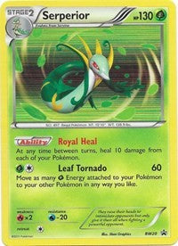 Serperior (BW20) [Black & White: Black Star Promos] | Game Haven TX