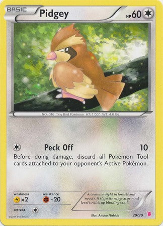 Pidgey (29/30) [XY: Trainer Kit 1 - Wigglytuff] | Game Haven TX