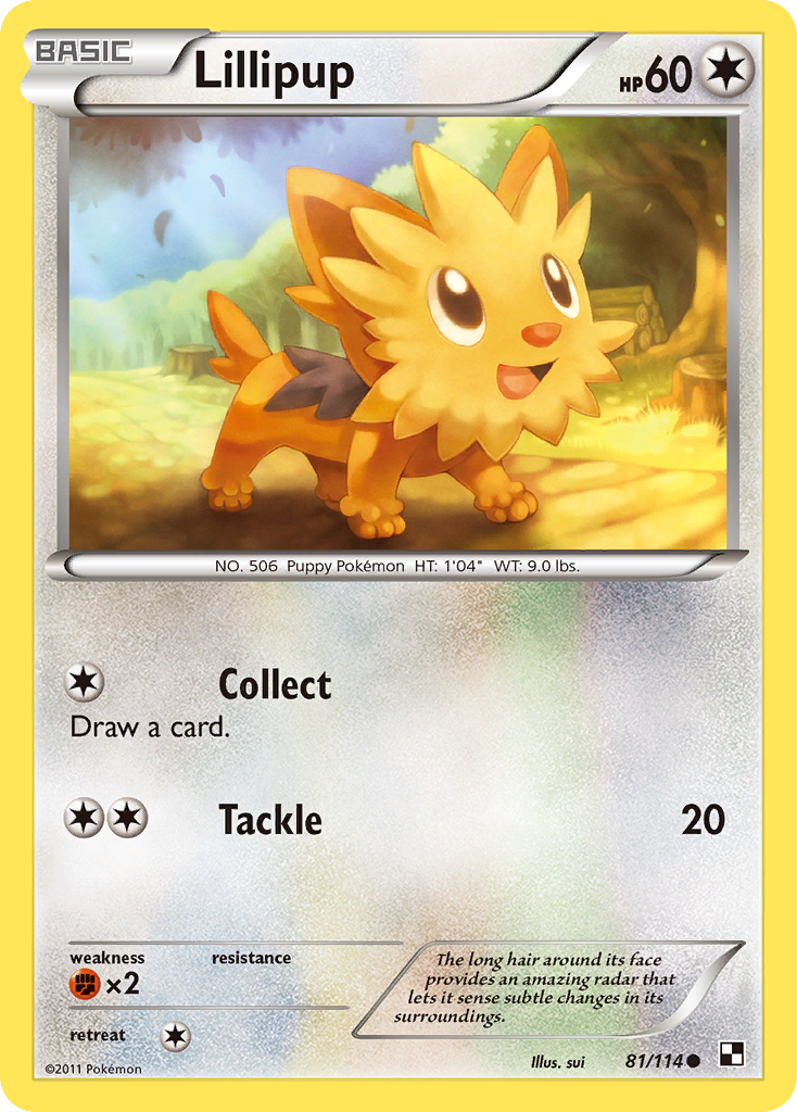 Lillipup (81/114) [Black & White: Base Set] | Game Haven TX