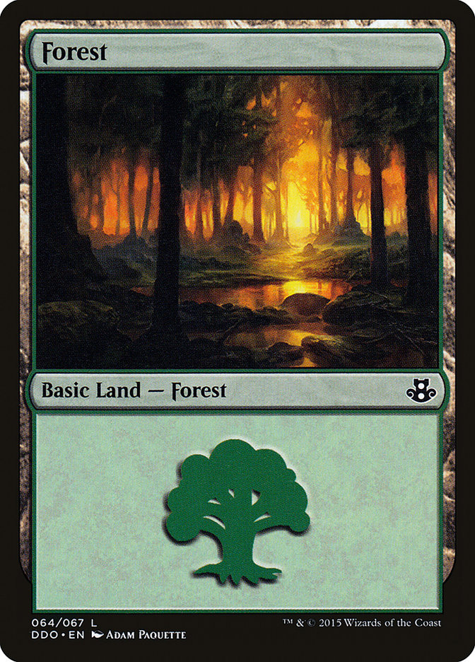 Forest [Duel Decks: Elspeth vs. Kiora] | Game Haven TX