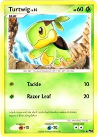 Turtwig (17/17) [POP Series 8] | Game Haven TX