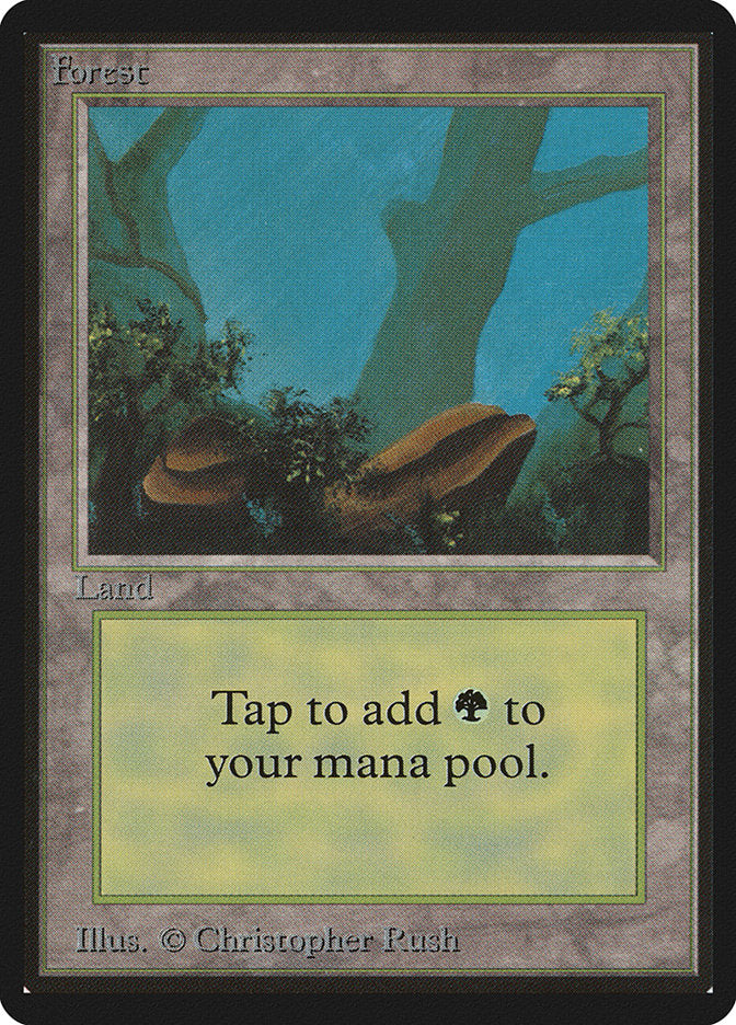 Forest [Limited Edition Beta] | Game Haven TX