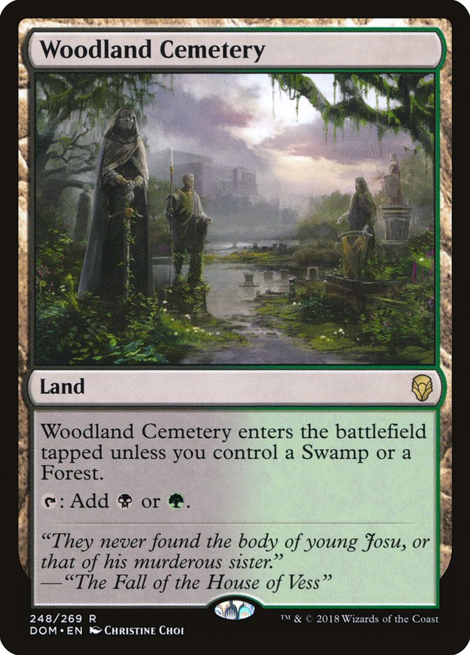 Woodland Cemetery [Dominaria] | Game Haven TX